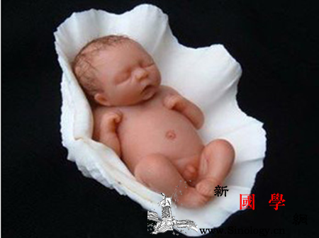 胎盘前壁容易早产吗_胎盘-早产-妊娠-子宫-