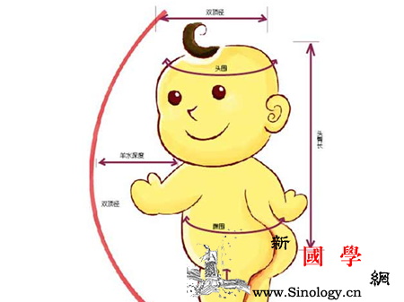 足月儿双顶径多少算正常_足月-预产期-分娩-胎儿-