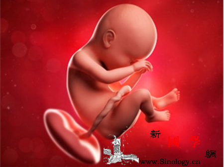 孕38周双顶径标准_产道-胎动-骨盆-产前-