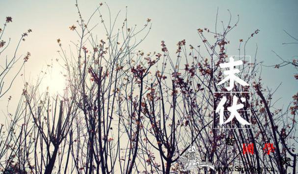 2017年末伏是哪一天末伏天要怎样健康度过_伏天-脾胃-湿热-年末-