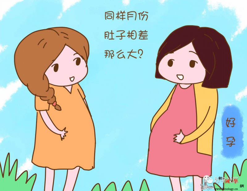 为什么怀孕后别人肚子那么大自己就很小是胎_羊水-胎儿-子宫-肚子-