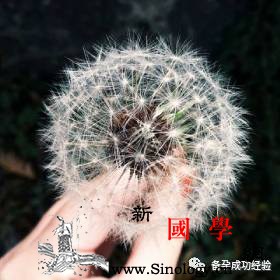 孕早期见红了该怎么保胎呢？_葡萄胎-宫外孕-流产-出血-
