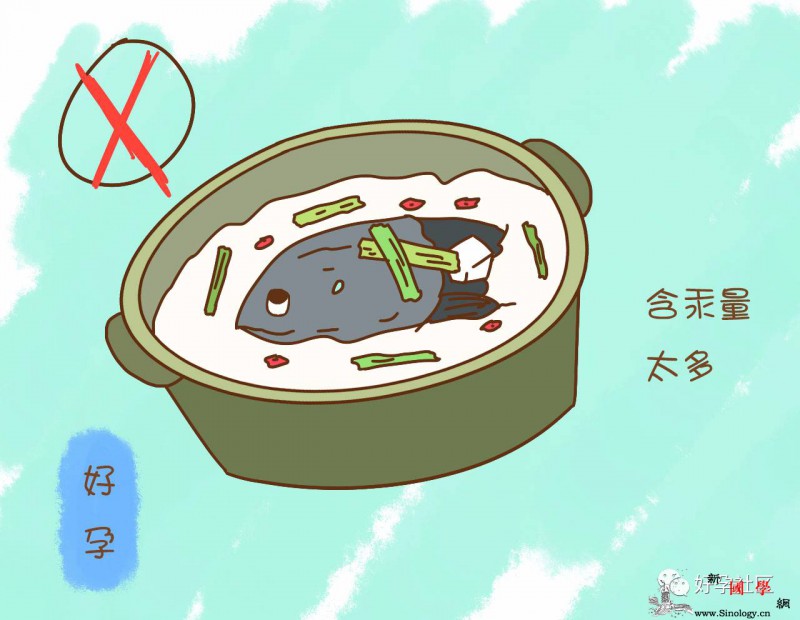 鱼有营养而且美味可是这三个部位孕妈最好不要_鱼虾-打捞-鱼头-污染区-