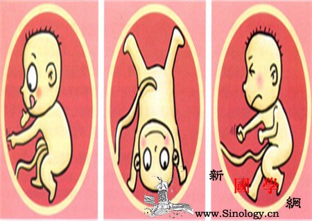 胎盘后壁是不是胎动晚_胎动-胎盘-感觉到-妊娠-