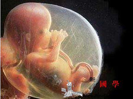 前置胎盘出血对胎儿有影响吗_胎盘-植入-妊娠-分娩-