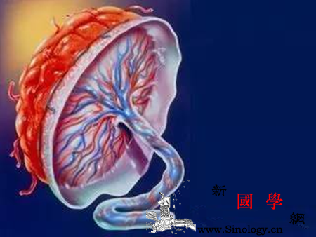 羊水少是怎么回事_羊膜-羊水-胎盘-会使-
