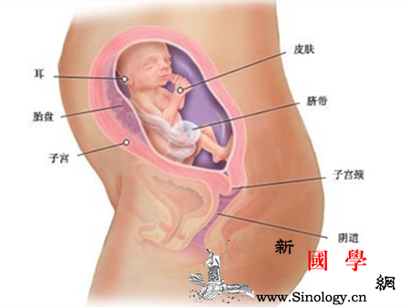 孕24周羊水深度正常值_正常值-羊水-胎儿-子宫-