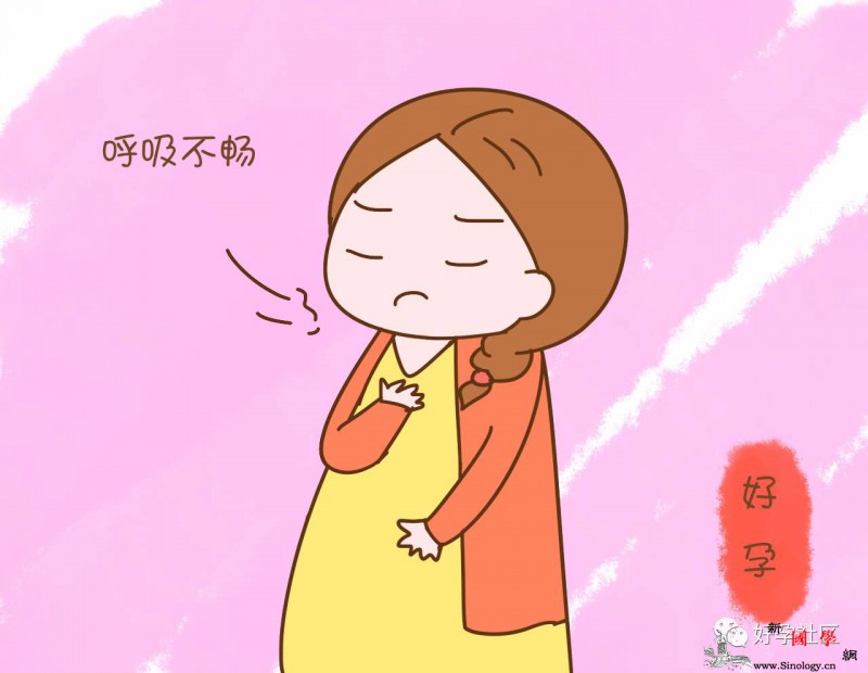 怀孕后睡觉成难事？学会这几招好觉不再是奢望_胎动-侧卧-代劳-睡觉-