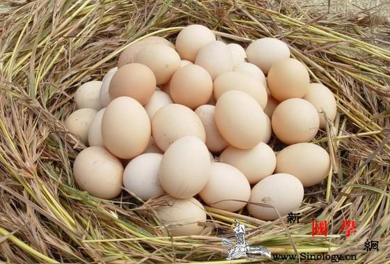 坐月子期间新妈妈该如何吃鸡蛋？_月子-肾脏-佳品-蛋白质-