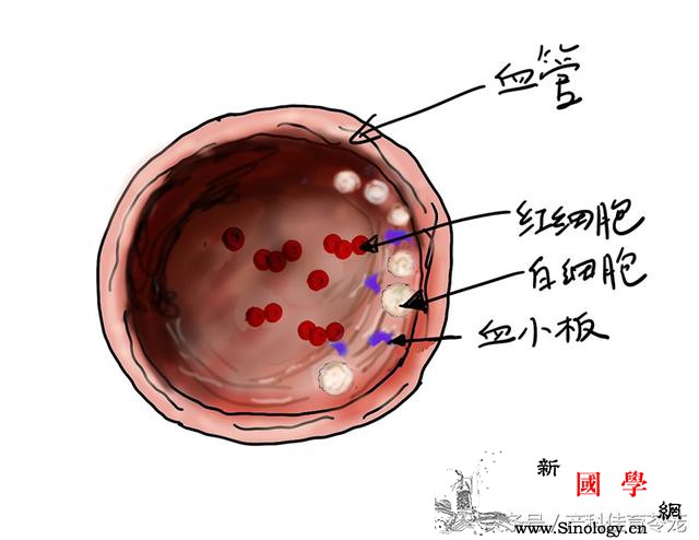 怀孕后凝血出问题了啥情况？_血小板-妊娠-出问题-出血-