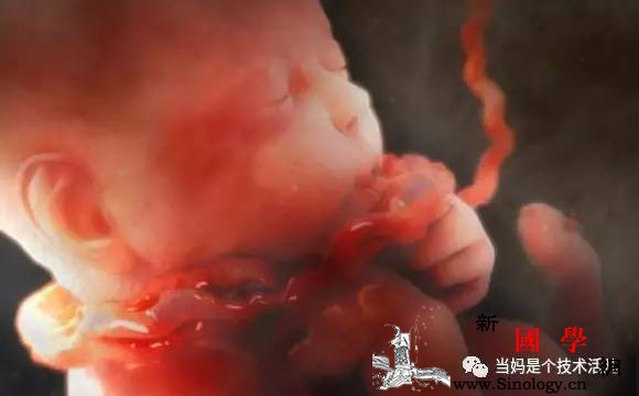 孕期脐带出现这4种情况都不正常！都会危及胎儿_胎动-脐带-宝宝-都不-