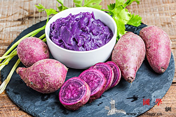 紫薯是转基因食品吗宝宝能吃紫薯吗有什么好处_花青素-甘薯-育成-转基因-