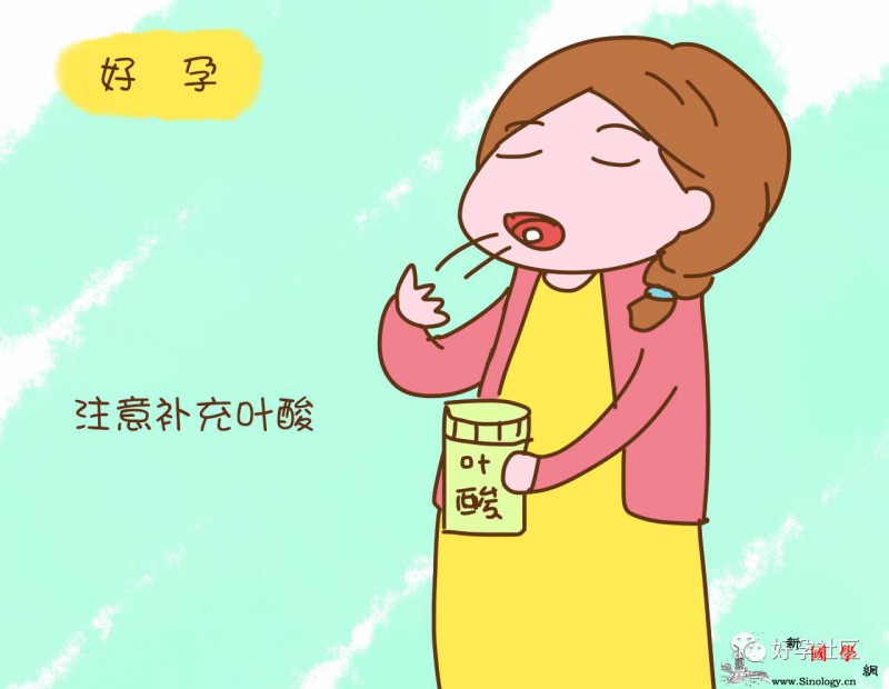 胎儿发育大详情孕妈妈可以根据这个过程来补充_叶酸-胎儿-准妈妈-补充-