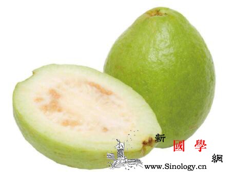宝宝可以吃番石榴吗番石榴孩子能吃吗_番石榴-助消化-消食-健胃-