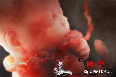 准妈有这三个症状就要小心了！可能导致胎死腹中_胎动-缺氧-胎儿-准妈妈-