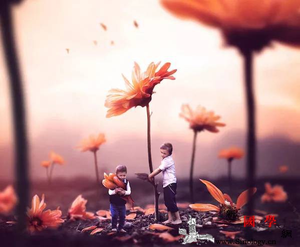 还在给孩子报补习班？补这三样东西比什么都重要_耐心-儿子-孩子-还在-