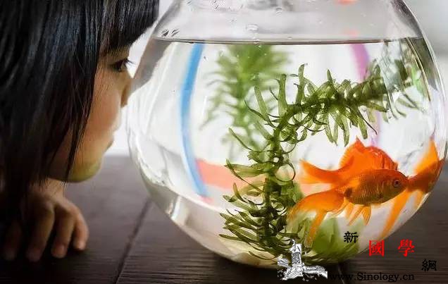 到底怎么教育孩子才能让孩子自己听话？_遵守-家长-规则-孩子-