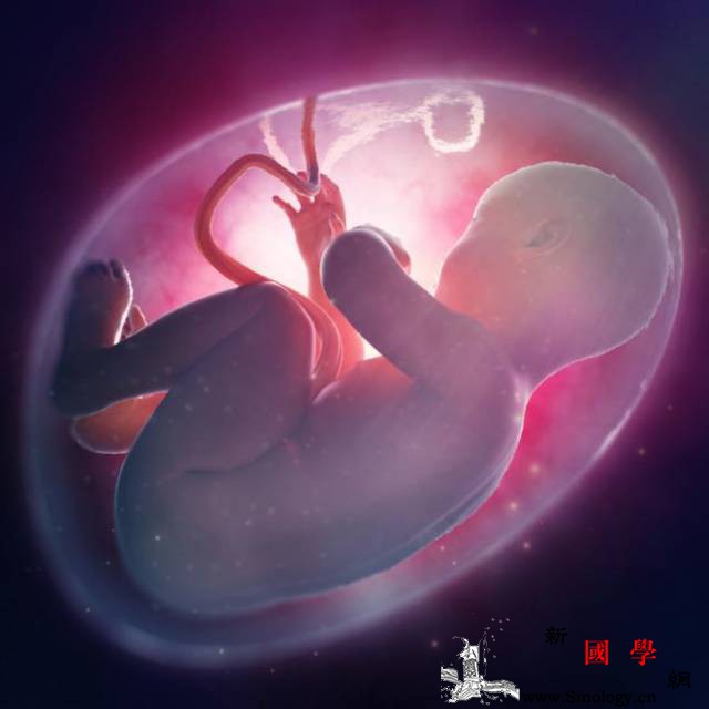 胎儿在子宫里都做些啥？_打哈欠-脐带-吸吮-胎儿-