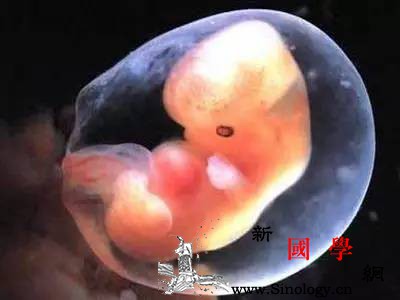 哪些因素容易影响胎儿发育_母体-迟缓-胎儿-畸形-