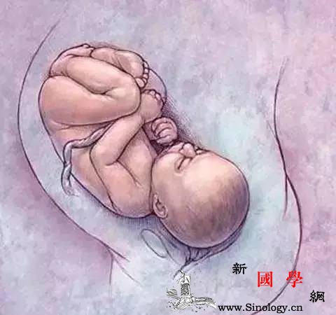 胎儿各周成长标准数值+胎儿体重测算公式_胎盘-平均值-胎儿-羊膜-
