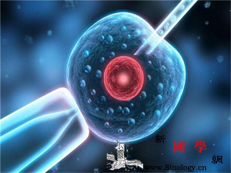 试管婴儿移植后出血_试管婴儿-成药-着床-卧床-