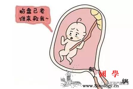 胎盘分级和羊水指数那个决定孕妇肚子里的胎儿_羊水-胎盘-胎儿-分级-