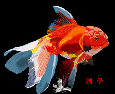 孕妇梦见鱼是男孩还是女孩_将会-寓意-预示-孕妇-