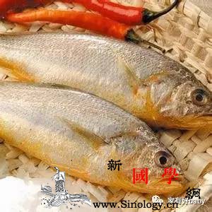 怀孕可以吃黄花鱼吗还有哪些饮食禁忌要注意？_黄花鱼-孕妇-食用-马齿苋-
