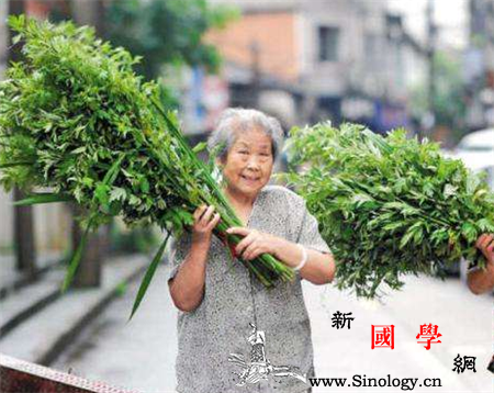 孕妇可以闻艾草味吗_咳喘-适宜-孕妇-女性-