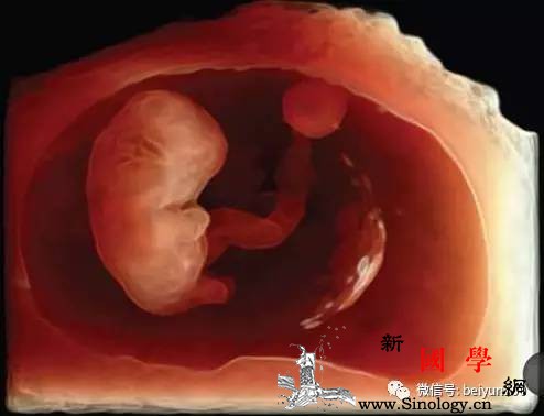 孕早期问题大盘点教你安稳度过孕早期黄金10_流产-情况-宝宝-着床-