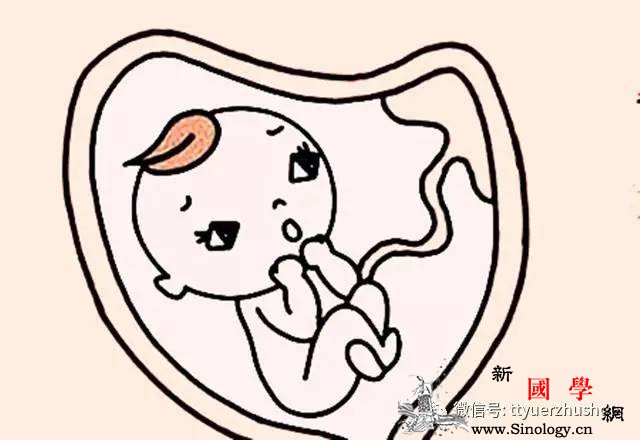 孕育过程中宝宝在妈妈肚子里最易发生的危险症_脐带-胎儿-羊水-颈部-