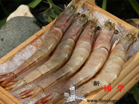 孕妇可以吃海虾吗_海虾-鞣酸-黄豆-进食-