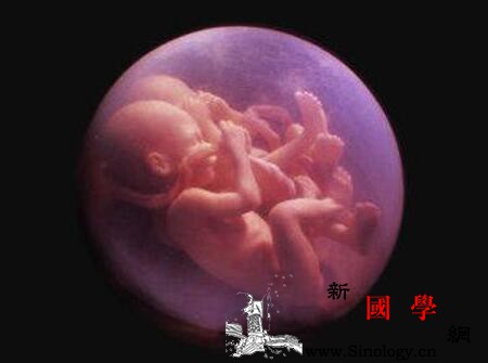 怀孕几个月能看出来是不是双胞胎_几个月-双胞胎-腹部-初期-
