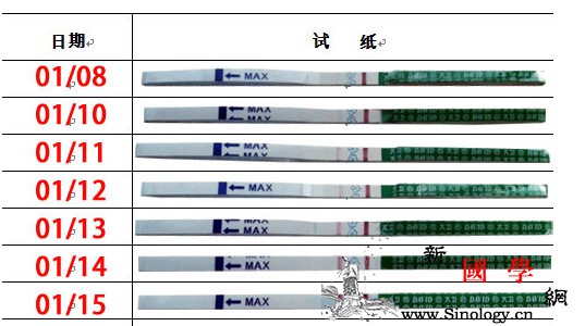 怀孕后隔天测早早孕试纸的优点_排卵-试纸-稀释-加深-