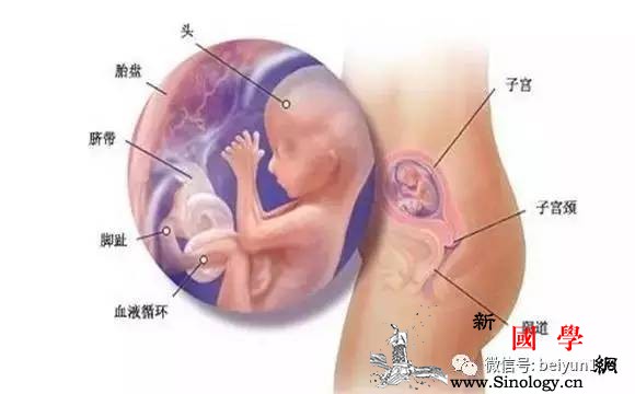 怀孕5大怪事第一条和哪吒类似的经历第四条_胎儿-怀孕-奇特-怀胎-