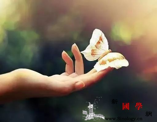 如何告诉孩子“死亡”的概念？_家长-女儿-死亡-妈妈-