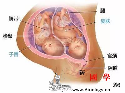 怀双胞胎的孕妈妈多少周分娩最适合？_早产-双胞胎-出生-足月-
