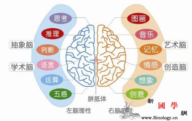 孩子为什么一定要学会大声朗读课文？_右脑-诵读-朗读-课文-