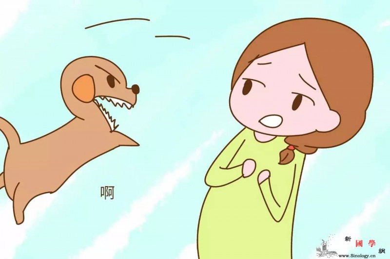 孕妈被邻居家的狗咬伤狗主人好心带她打疫苗_咬伤-疫苗-狂犬-接种-