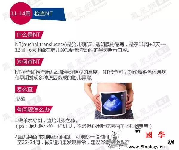 孕期最常见五种疾病对于刚刚怀孕的你一定要了_坎儿-孕期-五种-图表-