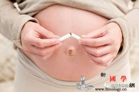 孕期七大事项需谨记为了胎儿健康发育孕妈妈_孕吐-胎儿-孕妇-宝宝-