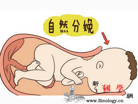 枕横位能顺产吗能否顺产要因人而异_产钳-位能-顺产-骨盆-