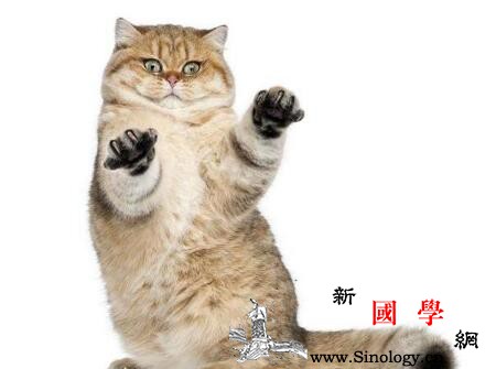 宝宝家居安全杀手有哪些家长慎选_家居-床上用品-杀手-婴儿用品-