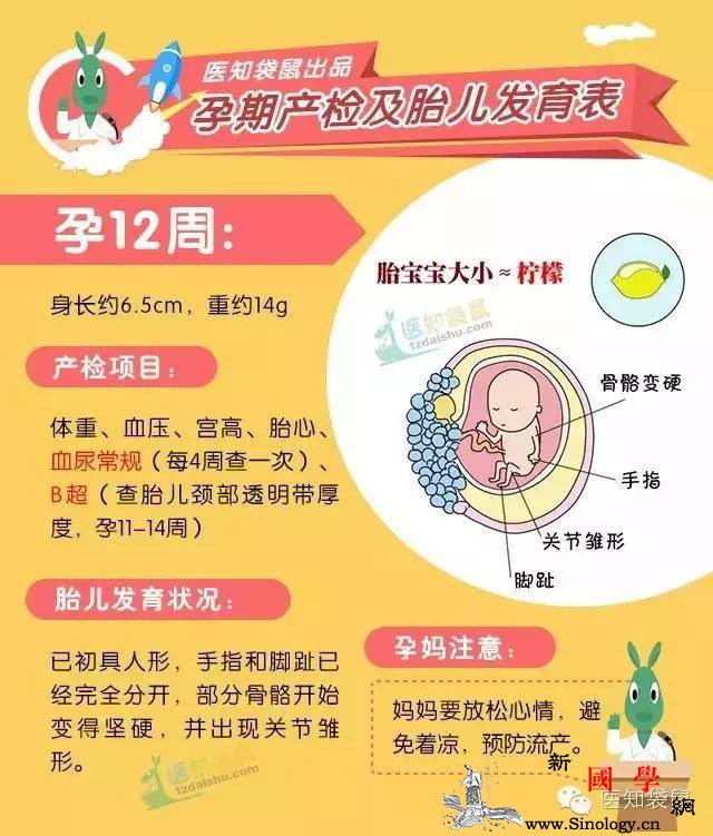 最完整详细的孕期产检时间与项目表！赶紧收藏_孕期-胎儿-检查-会有-