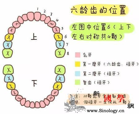 10个小孩9个蛀牙7个牙不齐你家的孩子是这_恒牙-乳牙-牙齿-宝宝-
