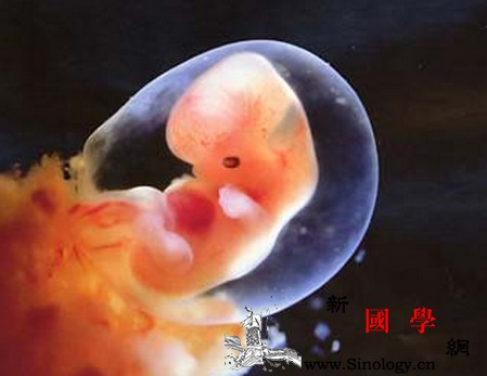 好好的为什么突然间胚胎就停止发育了?_卵黄-搏动-胚胎-无心-