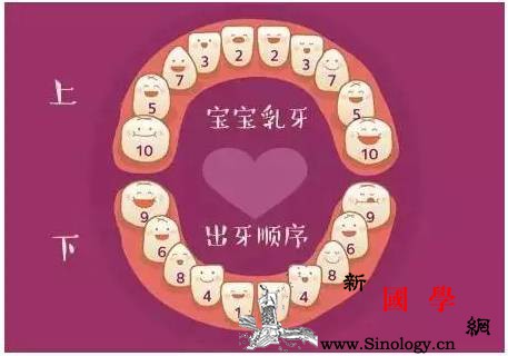 乳牙反正是要掉的真的不要去护理吗？_长牙-恒牙-乳牙-牙刷-