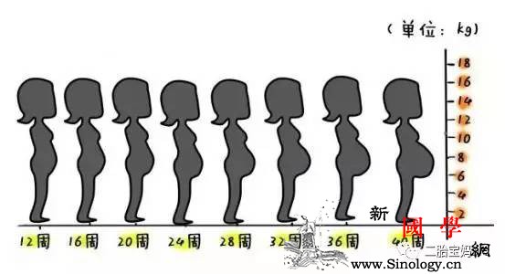 同样的孕周为什么肚子差异这么大！_羊水-胎儿-准妈妈-肚子-
