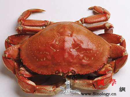 孕妇梦见螃蟹是什么意思梦见螃蟹的解梦大全_吉兆-梦中-解散-螃蟹-