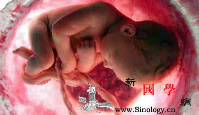 胎儿也会生气！尤其是遇到这4种情况……_长时间-孕期-胎儿-出生-